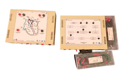 Pacemaker System